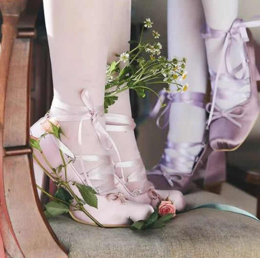Swan Lake Ballet Shoes 🩰